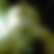 pussy_deluxe (44 Jahre) sucht Sex und Parkplatzsex in Immendingen