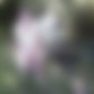 annett76 (49 Jahre) sucht Sexkontakte und Parkplatzsex im Landkreis Altötting