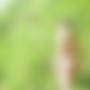 vergat (61 Jahre) sucht Sex und Seitensprung im Landkreis Ahrweiler